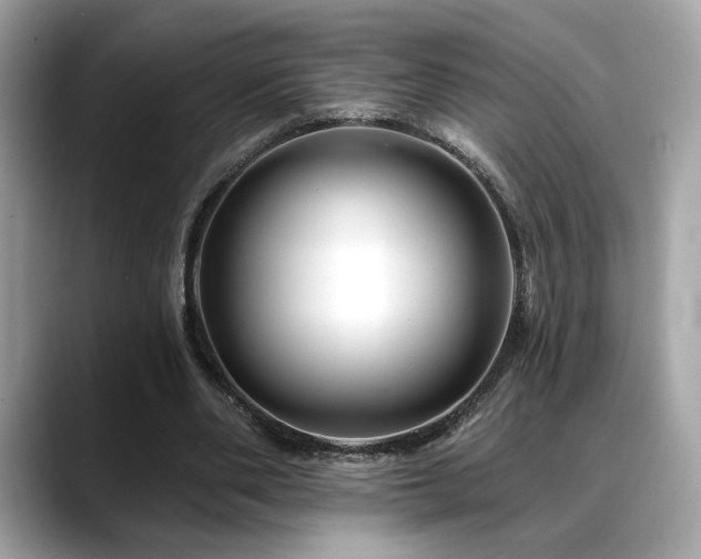 X0000088750486200705311515