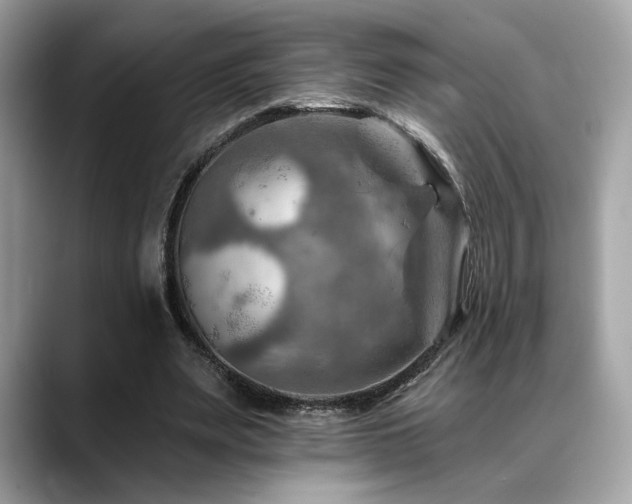 X0000088750487200705311515