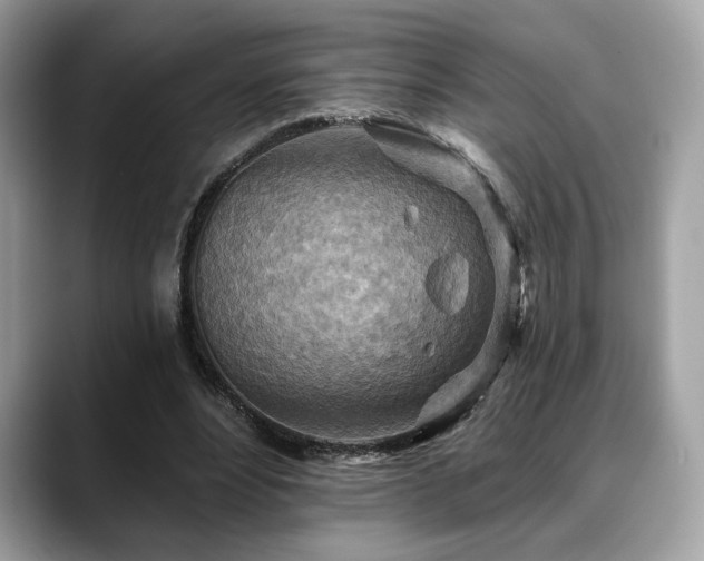 X0000088750488200705311515