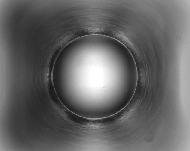 X0000088750490200705311515
