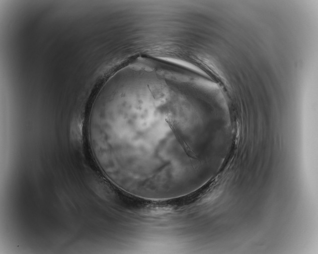 X0000088750491200705311515