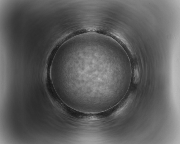 X0000088750492200705311515