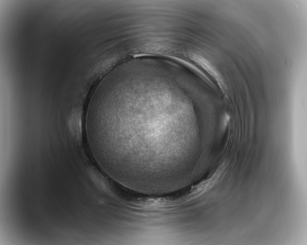X0000088750493200705311515