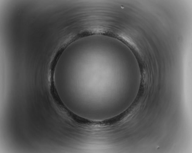 X0000088750494200705311515