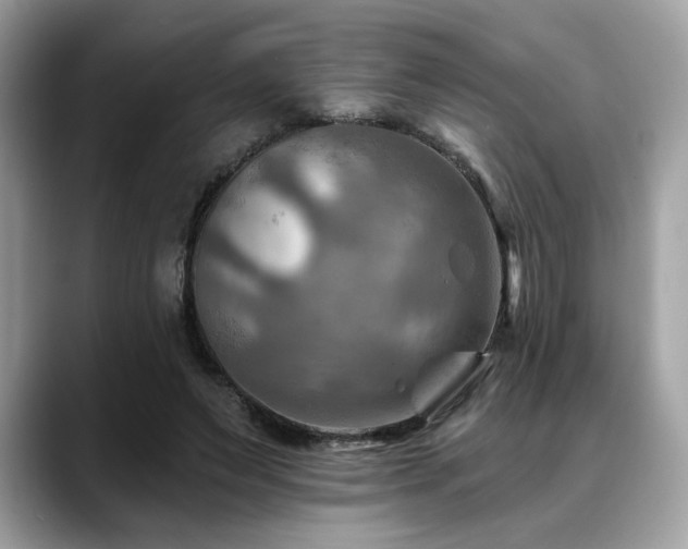X0000088750495200705311515