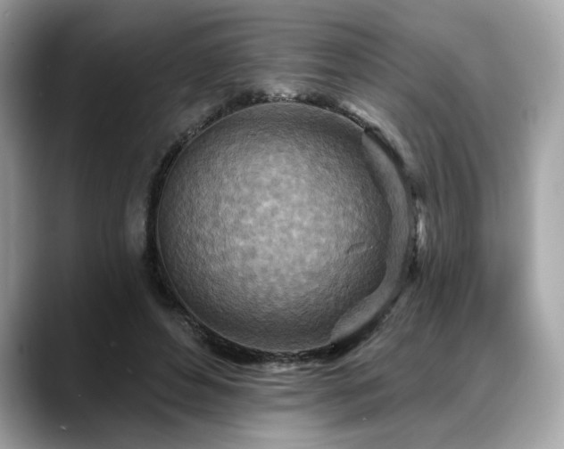 X0000088750496200705311515