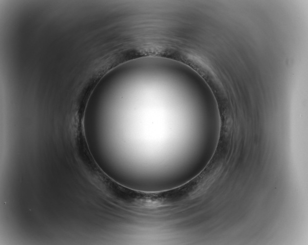 X0000088750498200705311515
