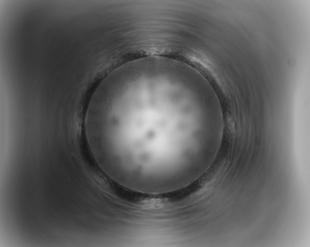 X0000088750499200705311515