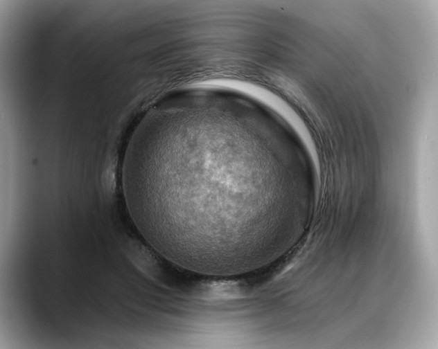X0000088750501200705311515