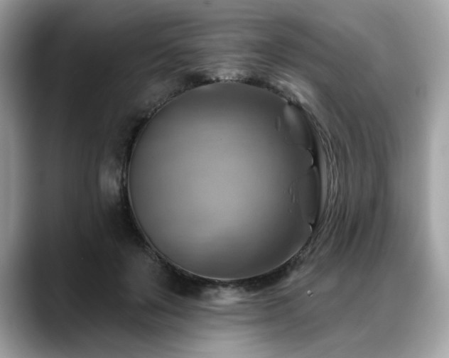 X0000088750503200705311514