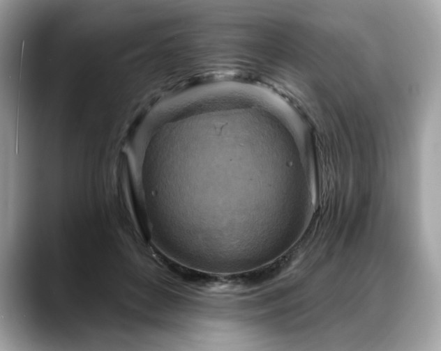 X0000088750504200705311514