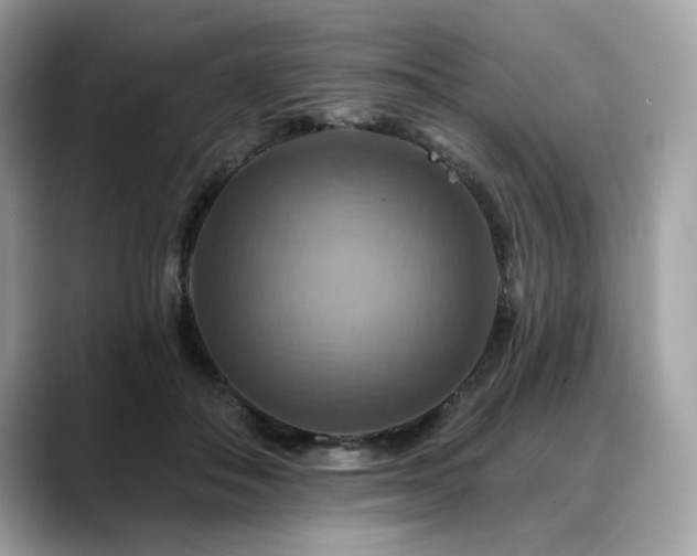 X0000088750506200705311514