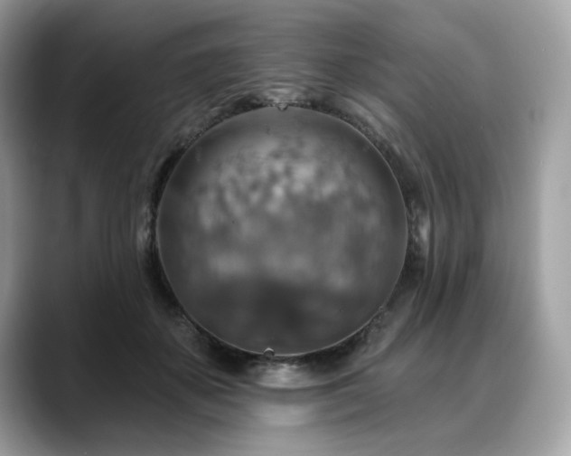 X0000088750507200705311514