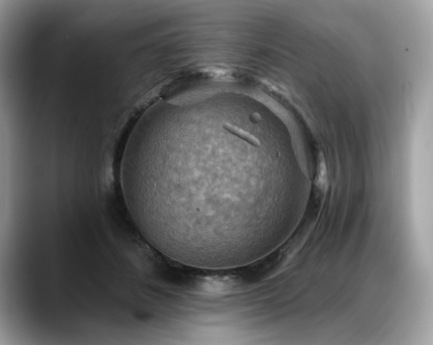 X0000088750508200705311514