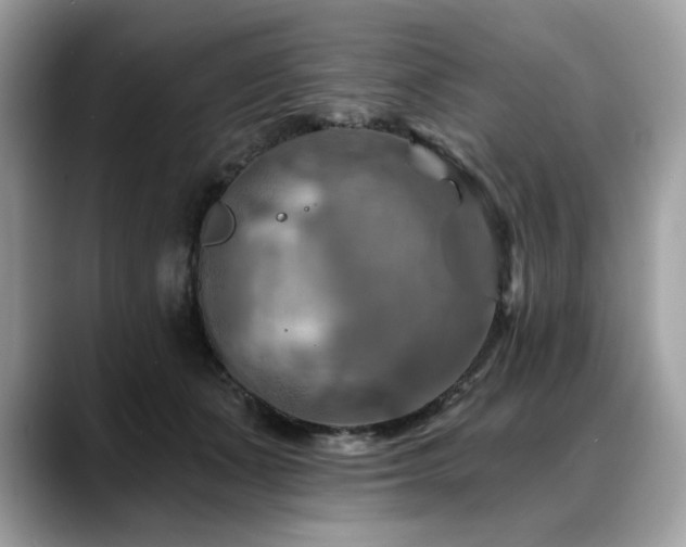 X0000088750511200705311514