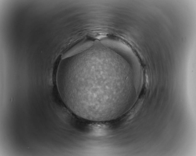 X0000088750512200705311514