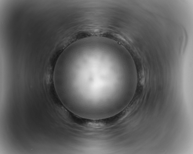 X0000088750515200705311514
