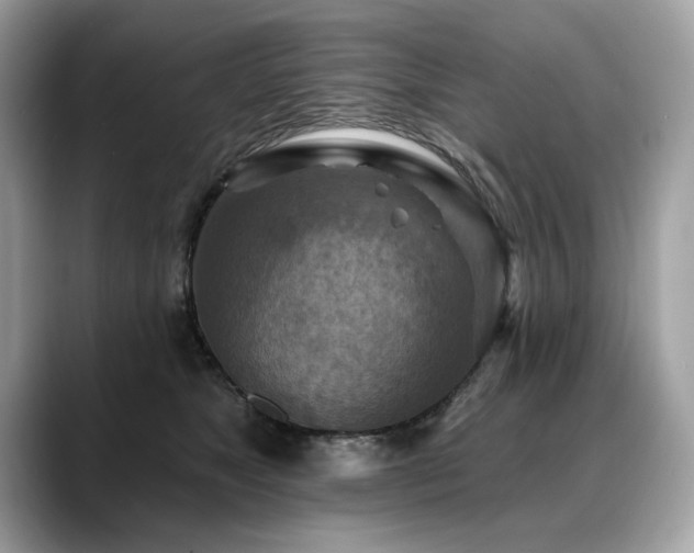 X0000088750517200705311514