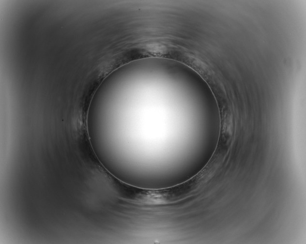 X0000088750518200705311514