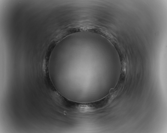 X0000088750519200705311514