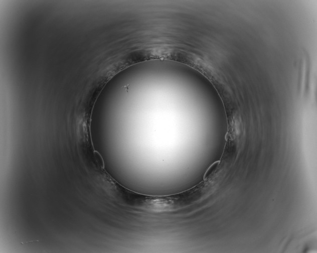 X0000088750522200705311514