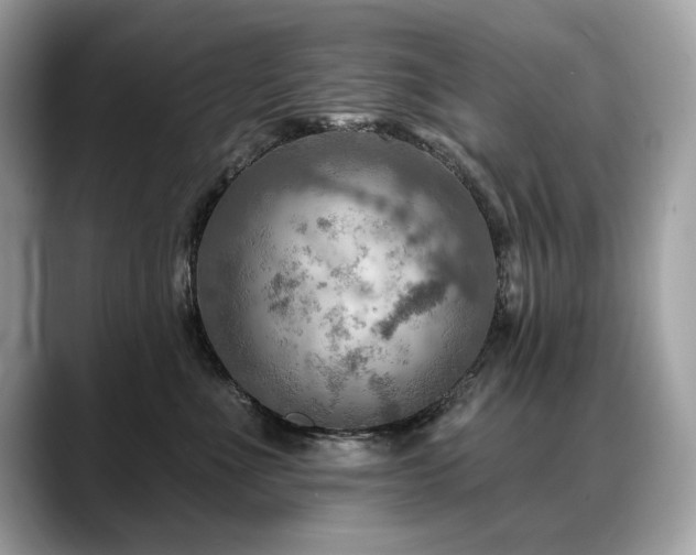 X0000088750523200705311514