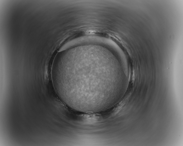 X0000088750524200705311514