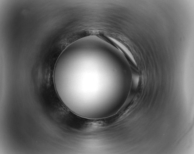 X0000088750525200705311514