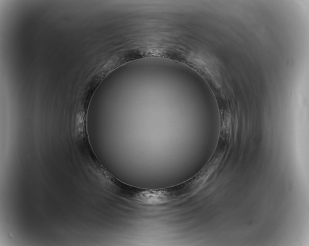 X0000088750526200705311514
