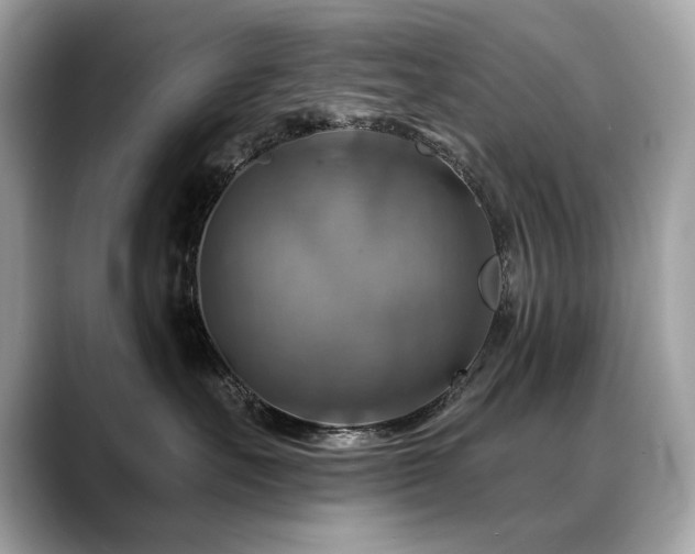 X0000088750527200705311514