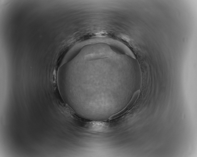 X0000088750528200705311514