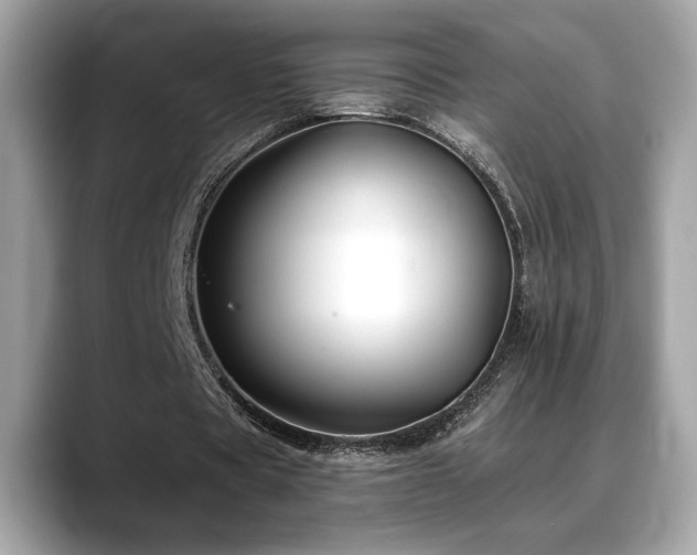 X0000088750529200705311513
