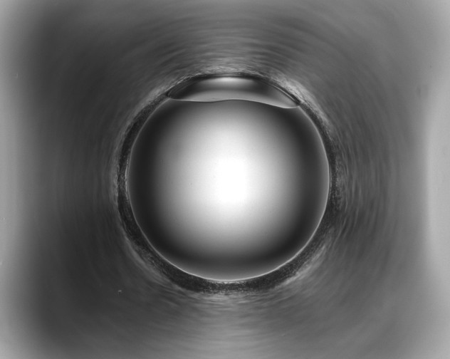 X0000088750530200705311513