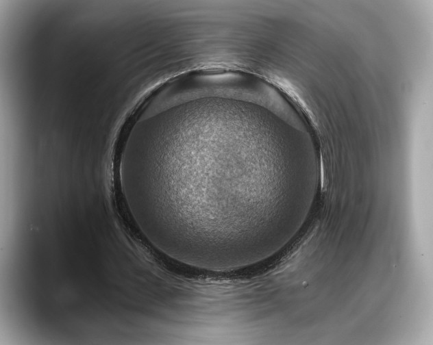 X0000088750531200705311513