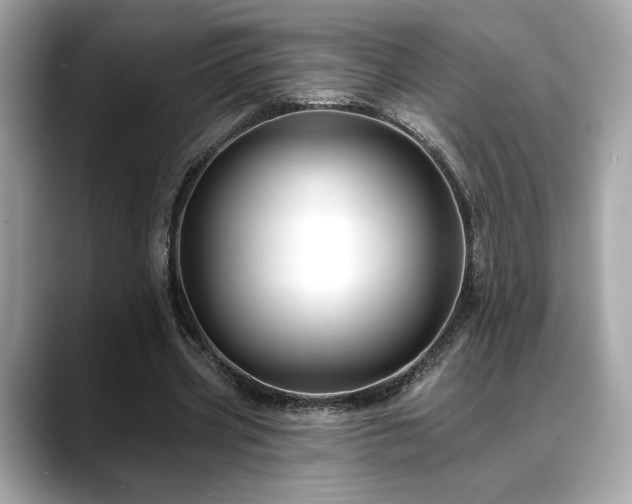 X0000088750533200705311514