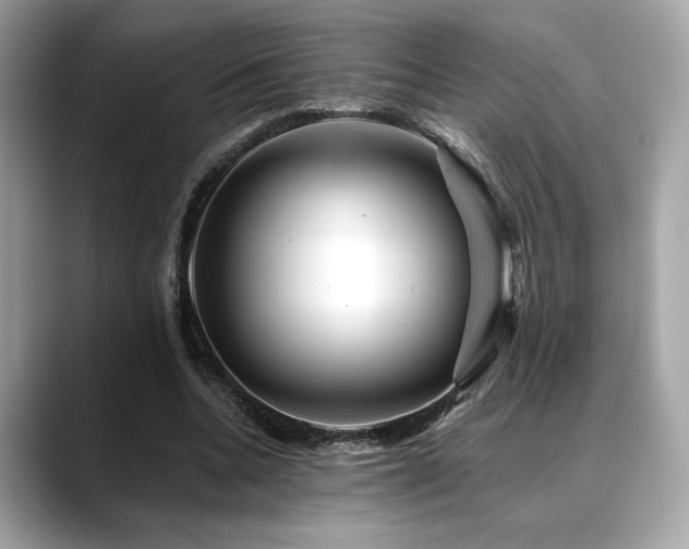 X0000088750536200705311514