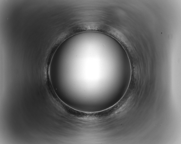 X0000088750537200705311514
