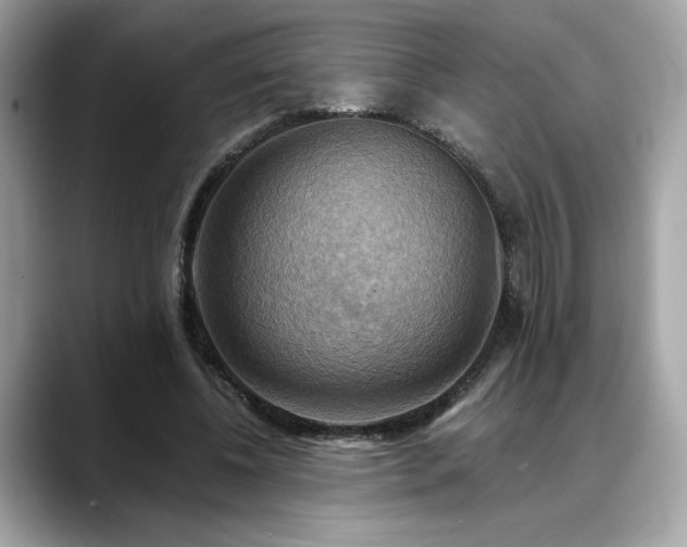 X0000088750540200705311514