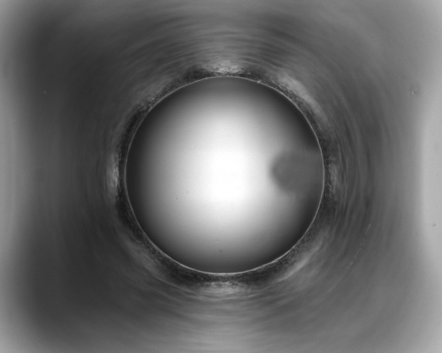X0000088750541200705311514