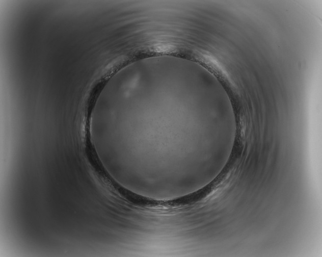 X0000088750542200705311514
