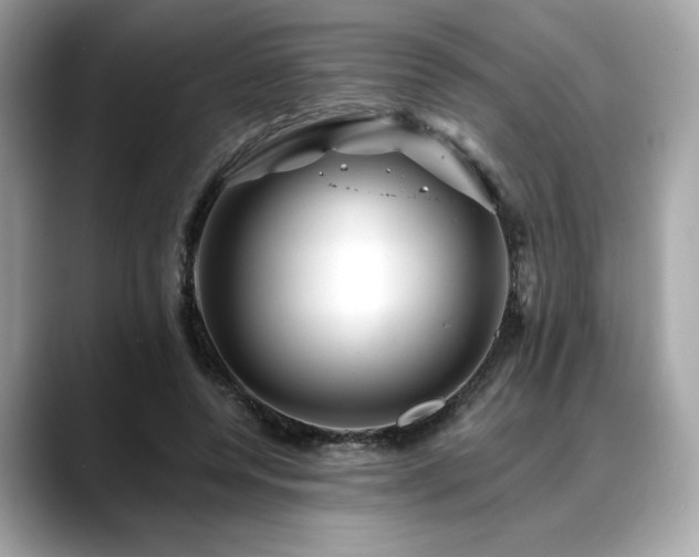 X0000088750544200705311514