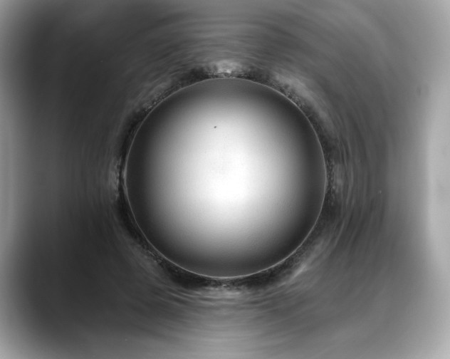 X0000088750545200705311514