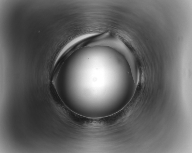 X0000088750546200705311514