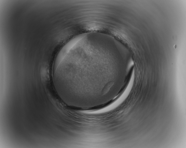 X0000088750547200705311514