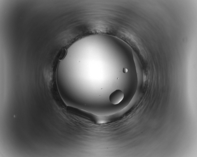 X0000088750548200705311514