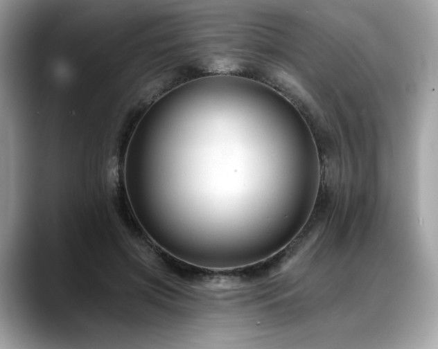 X0000088750549200705311514