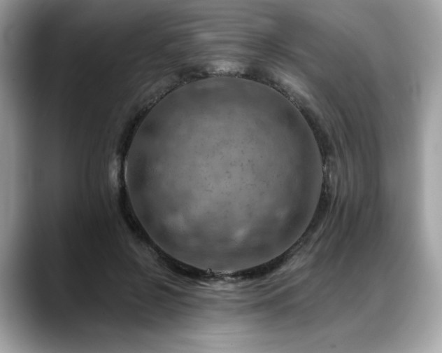 X0000088750550200705311514