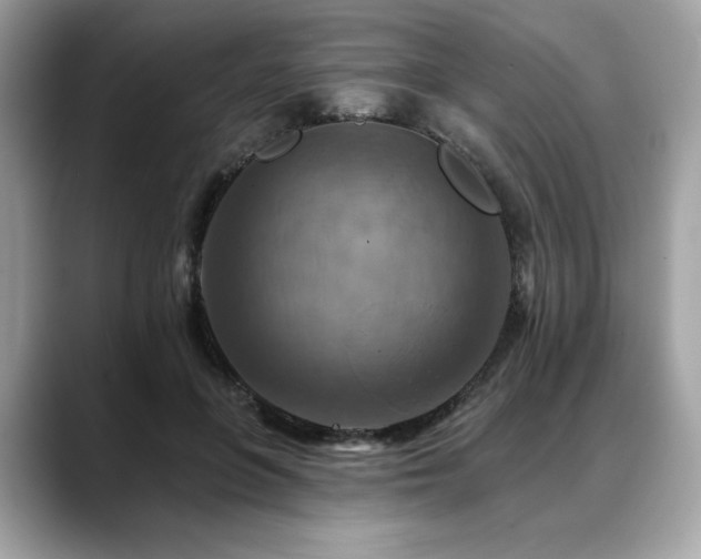 X0000088750551200705311514