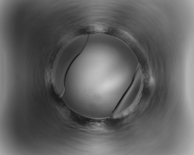 X0000088750552200705311514
