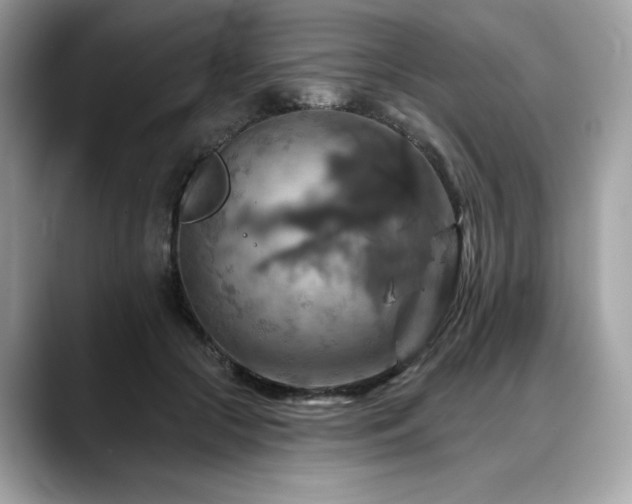 X0000088750553200705311514